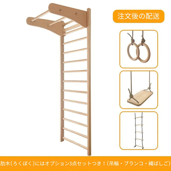 室内遊具 肋木 ボルダリング はしご ppi-tmz052 – VEROMAN FIT